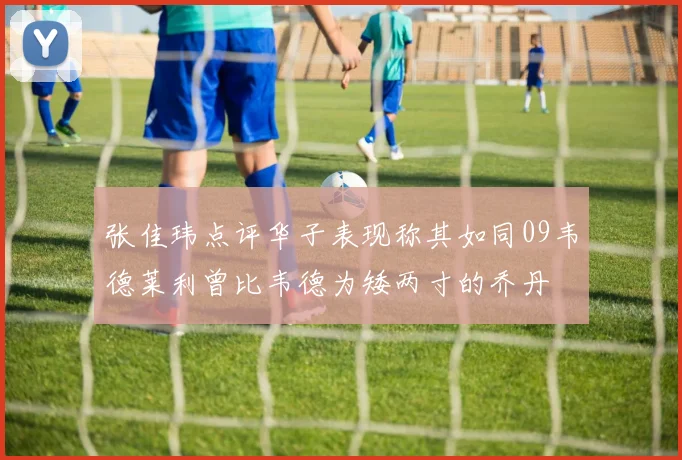 张佳玮点评华子表现称其如同09韦德莱利曾比韦德为矮两寸的乔丹