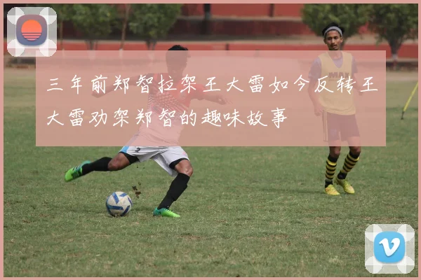 三年前郑智拉架王大雷如今反转王大雷劝架郑智的趣味故事